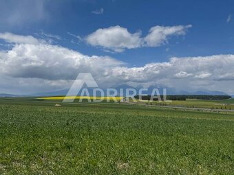 NOVÁ CENA: Inv. príležitosť TTP; Úsvit-Švábovce; 4338 m2; 19 - 2