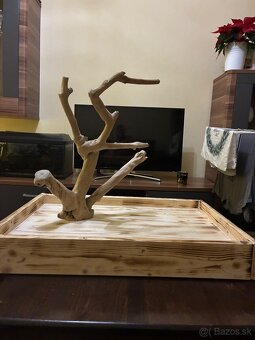 Strom pre papagáje ,ihrisko pre papagáje - 2