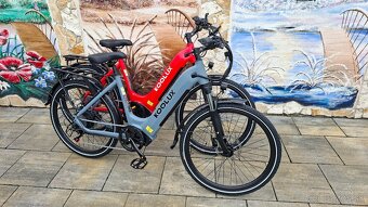 NOVÝ ELEKTROBICYKEL 790 - 2