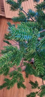 Predám vianočný stromček 180cm 40EUR - 2
