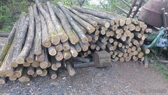 Agatove koly stlpy - 2