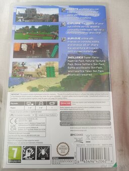 Minecraft - 2