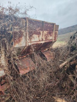 Predám sadzac zemiakov - 2