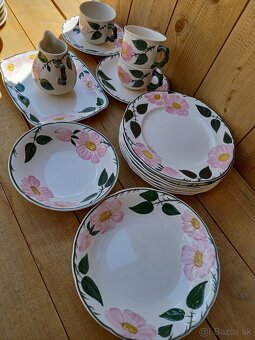 Villeroy & Boch Wild Rose - 2