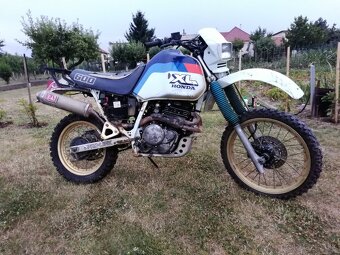 Honda XL 600 - 2