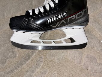 Bauer Vapor 3x - 2