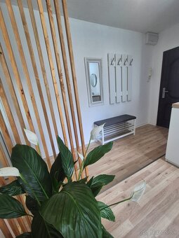 Prenájmem 1,5 izbový byt Levoča - 2