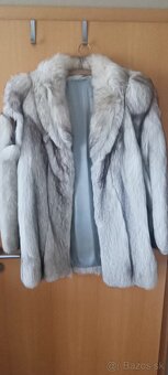 Kožuch -Strieborná líška - 2