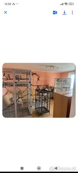 predám klietky pre papagaje - 2