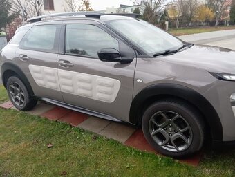 C4 Cactus - 2