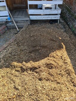 Frézovanie pňov - 2