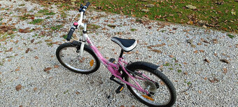 Detský bicykel Dema aggy 20 - 2