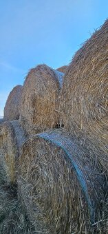 Slama okrúhle baliky - 2