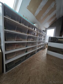 Teráriá ZNÍŽENÁ CENA - 2