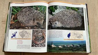 Kniha  Encyklopedia Polovnictva - 2