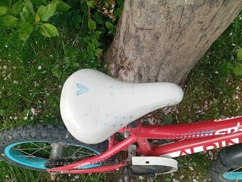 Detský bicykel - 2