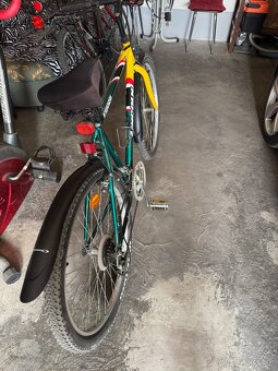 Horsky bicykel - 2