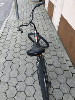 bicykel Electra - 2