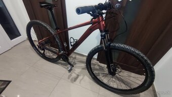 CUBE Access WS Pro M - 2