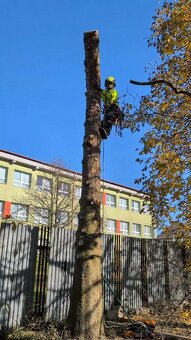 Rizikový výrub a orez stromov, kosenie a údržba pozemkov - 2