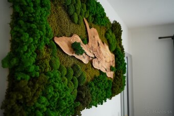 Machovy obraz s olivovym drevom - 2