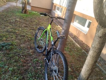 Trans Montana MTB 26 - 2