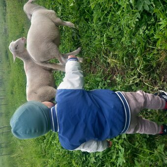 Prenajom chaty - 2