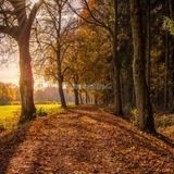 Investičný pozemok Lysica - 2