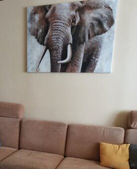 Obraz slon 116x84cm - 2