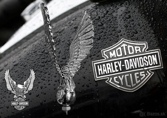 ZNAK ORLA HARLEY DAVIDSON Chróm - 2