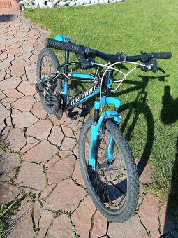 Detský bicykel 24 - 2