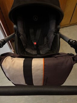 Kocik Coletto Giovanni - 2