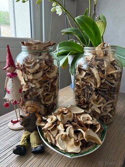 Sušené dubáky - 2