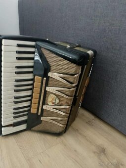 Harmonika delicia - 2