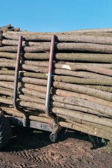 Agátové koly, stĺpy. - 2