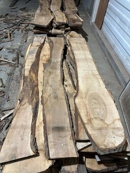 Vysušené orechové dosky, orech, VÝPREDAJ - 2