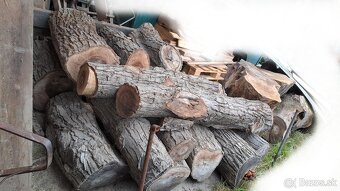 Predam orechove drevo - 2