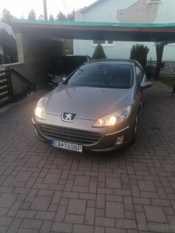Peugeot 407 - 2