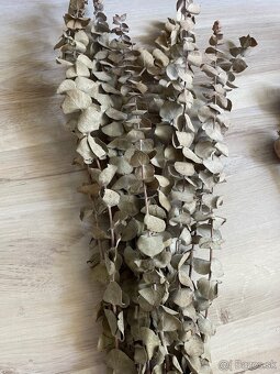 Susene kvety - eukalyptus, makovice, bavlna - 2