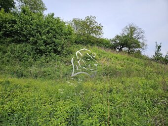 13,5a pozemok v Sedliskách - 2