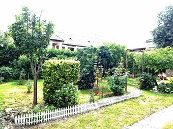 PANICKÉ DRAVCE - RD na pozemku 5400 m2 - 2
