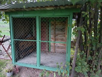 Predám volieru š160  h123  v175 - 2