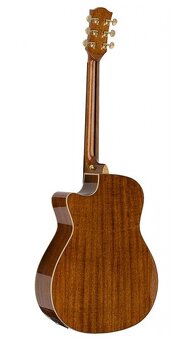 Elektroakustická gitara RG-27_CESB - 2