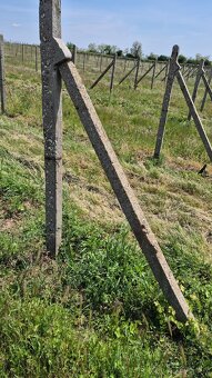 Predám vinohradnícke stĺpiky. - 2