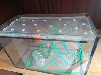 Terarium - 2
