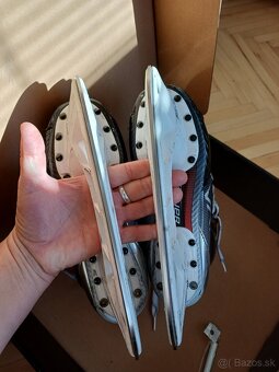 Korcule Bauer vapor x3 - 2