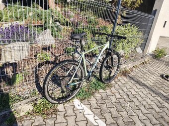 Kellys Spider 90 - 2