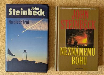 Remarque, Heller, Steinbeck a iná beletria - 2