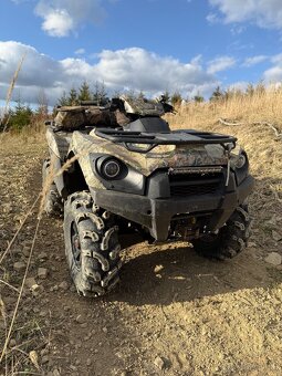 Kawasaki Brute Force 750 - 2