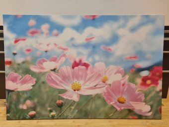 Obraz ikea 78x118cm - 2